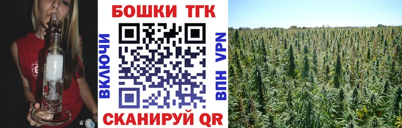 Каннабис сатива где найти Полярные Зори
